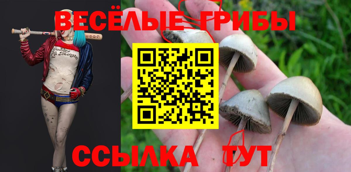 Галлюциногенные грибы MAGIC MUSHROOMS Чистополь