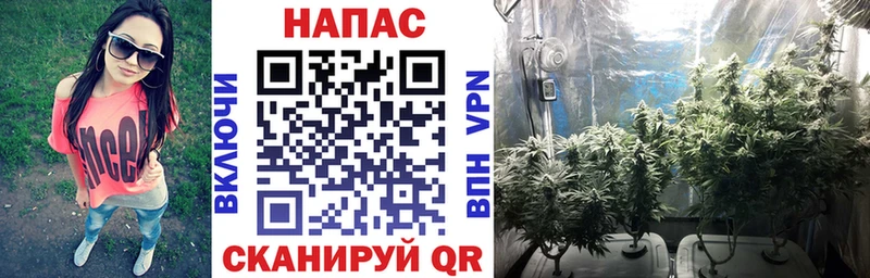 МЕГА рабочий сайт  Чистополь  Бошки Шишки сатива  купить наркотик 